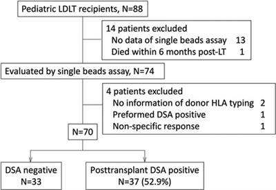 Post-transplant donor-specific anti-HLA antibodies with a higher mean fluorescence intensity are associated with graft fibrosis in pediatric living donor liver transplantation